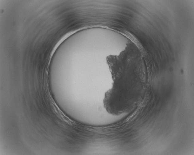 X0000068271052200605191823