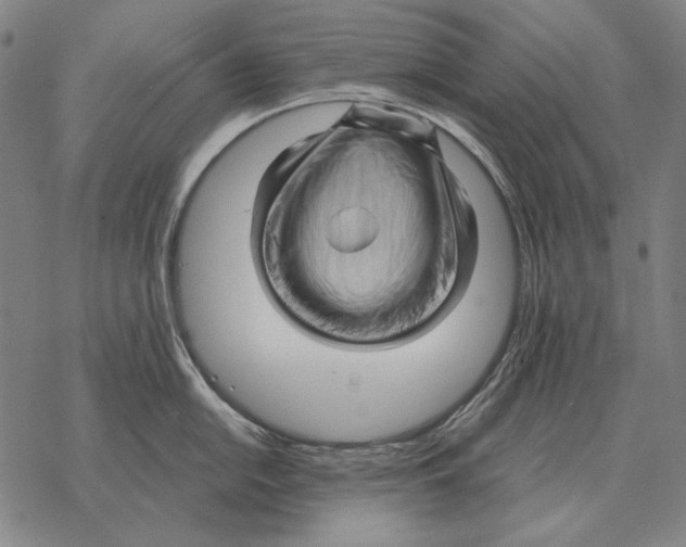 X0000068271054200605191823