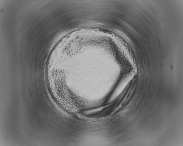 X0000068271055200605191823