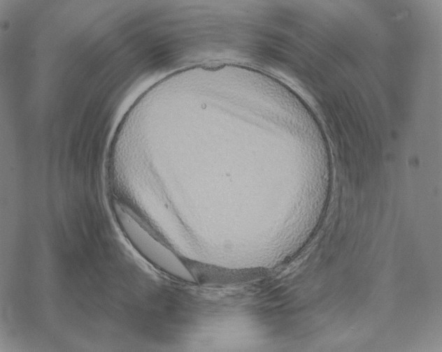 X0000068271056200605191823