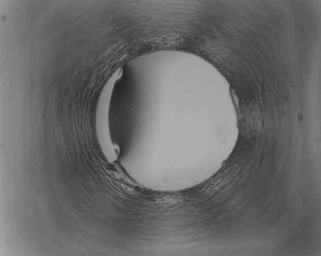 X0000068271058200605191822