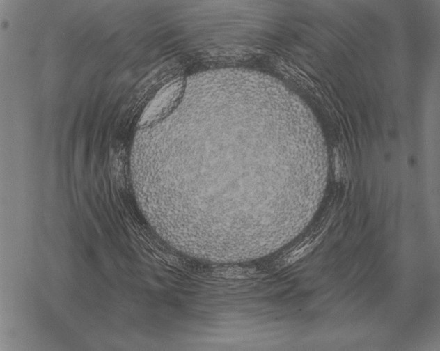 X0000068271059200605191822