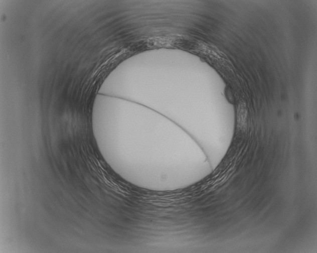 X0000068271060200605191822