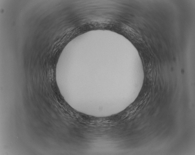 X0000068271061200605191822