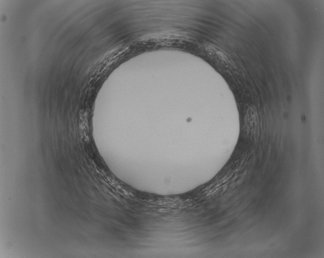 X0000068271062200605191822