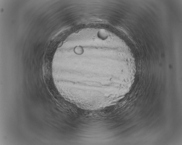 X0000068271063200605191822