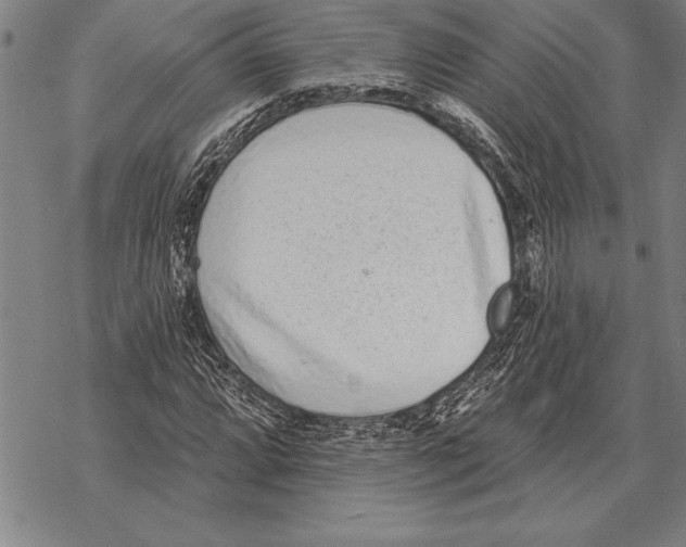 X0000068271064200605191822