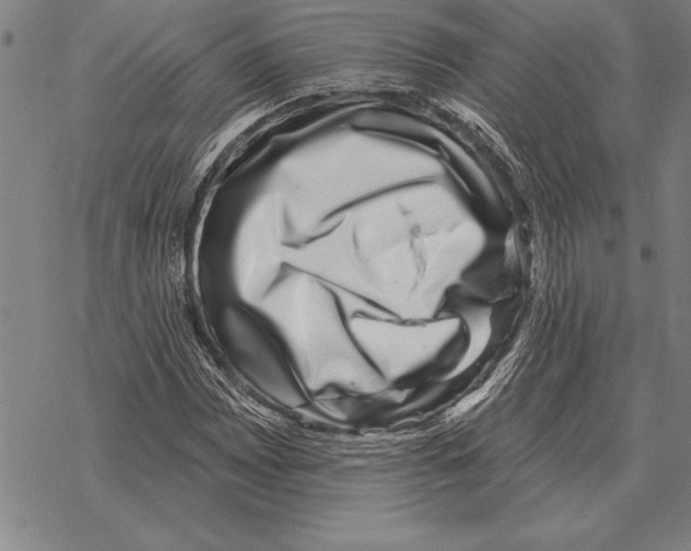 X0000068271065200605191822