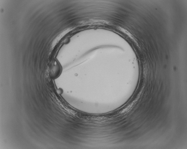 X0000068271066200605191822