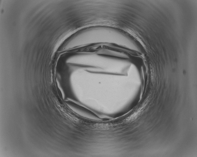 X0000068271069200605191822