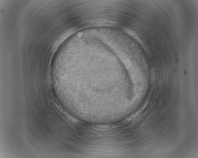 X0000068271071200605191822