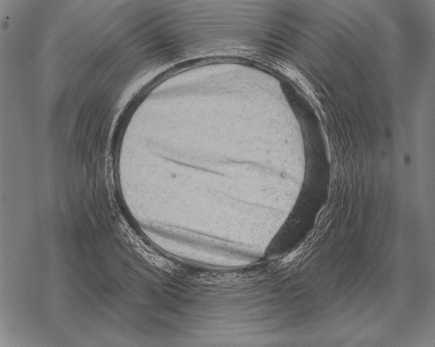 X0000068271072200605191822