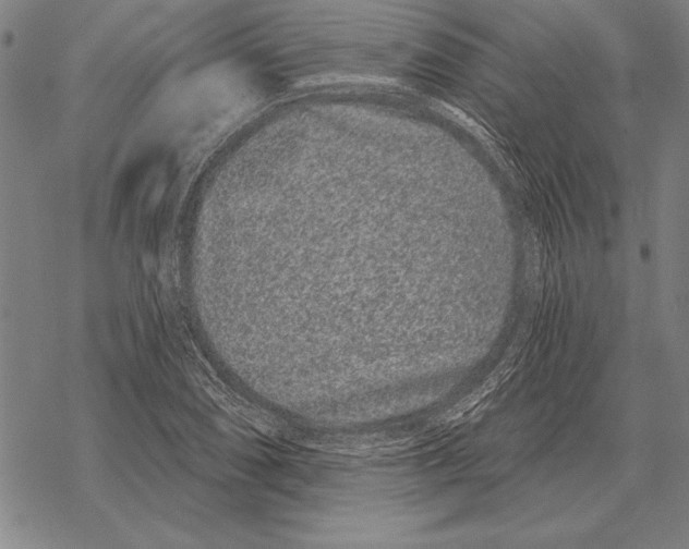 X0000068271074200605191822