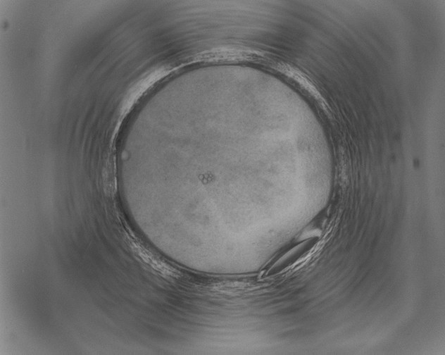 X0000068271075200605191822