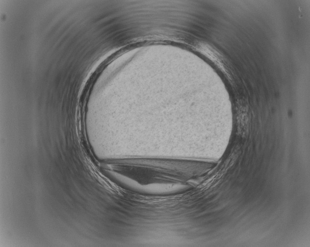 X0000068271076200605191822