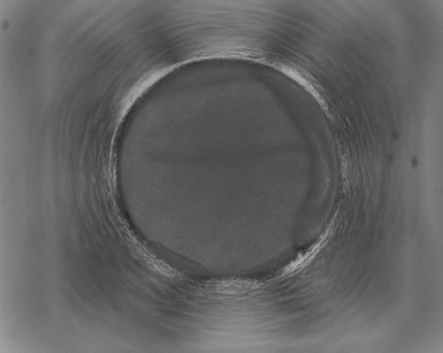 X0000068271077200605191822