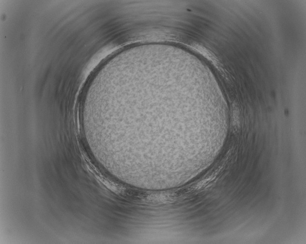 X0000068271078200605191822