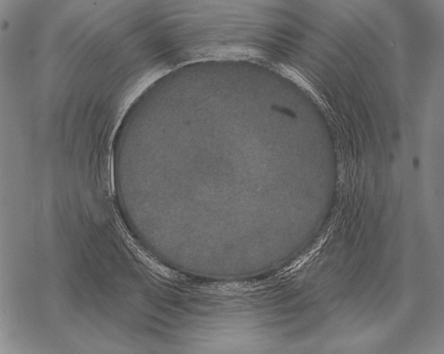 X0000068271079200605191822