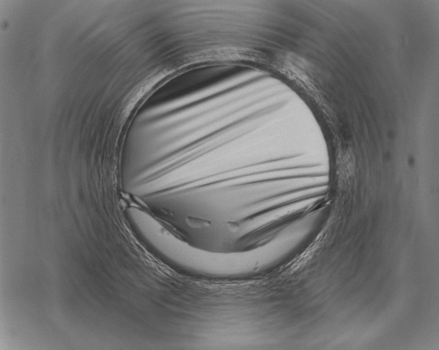 X0000068271081200605191822