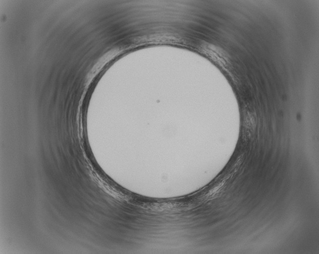 X0000068271082200605191822