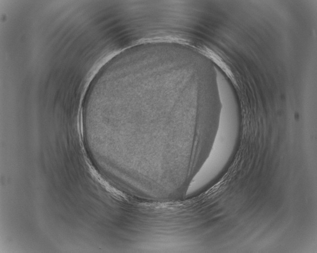 X0000068271084200605191822