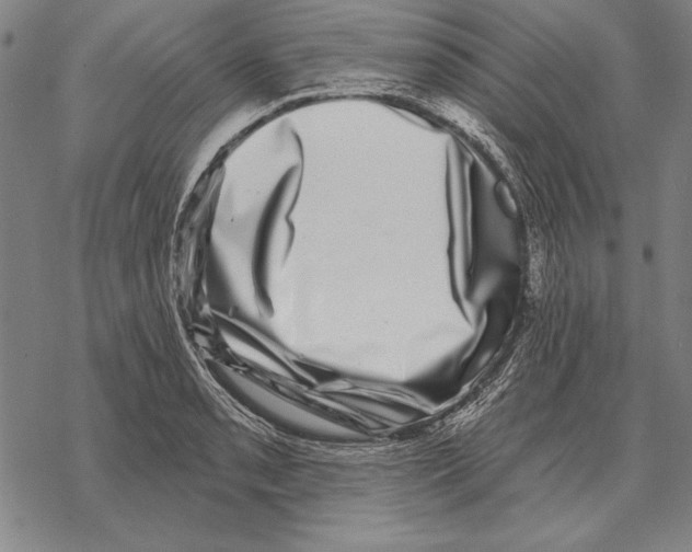 X0000068271085200605191822