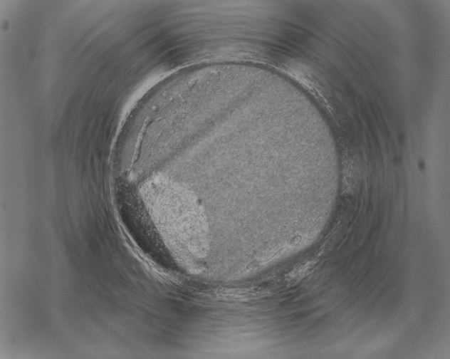 X0000068271086200605191822