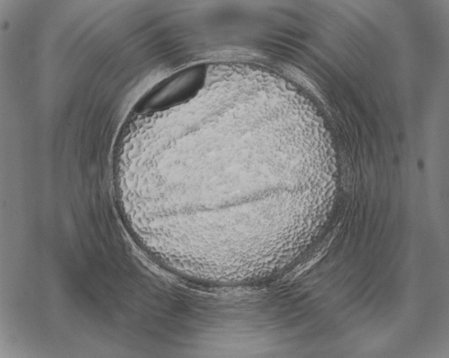 X0000068271087200605191822