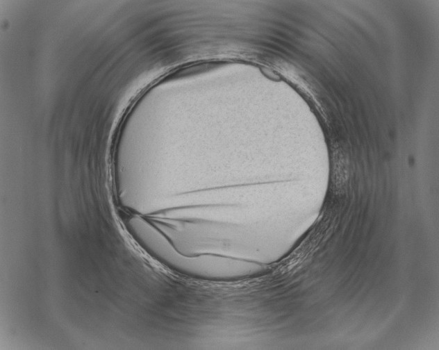 X0000068271088200605191822