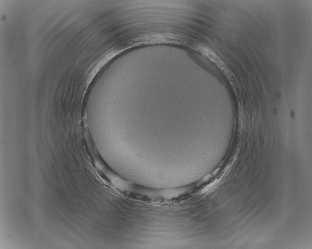 X0000068271089200605191822