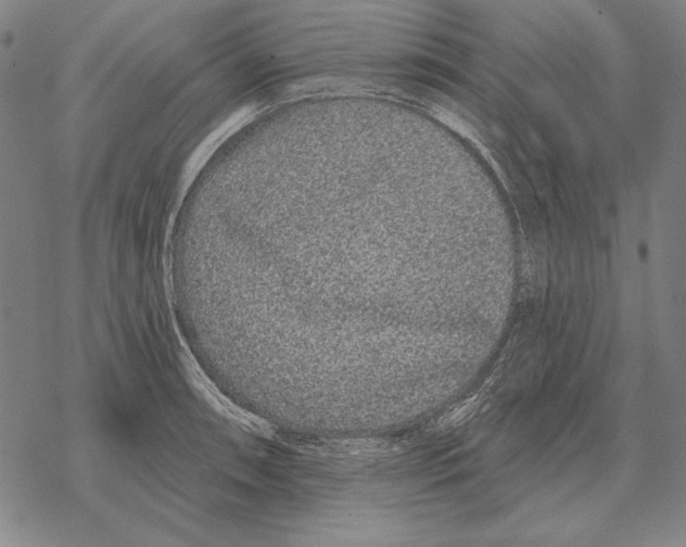 X0000068271090200605191822