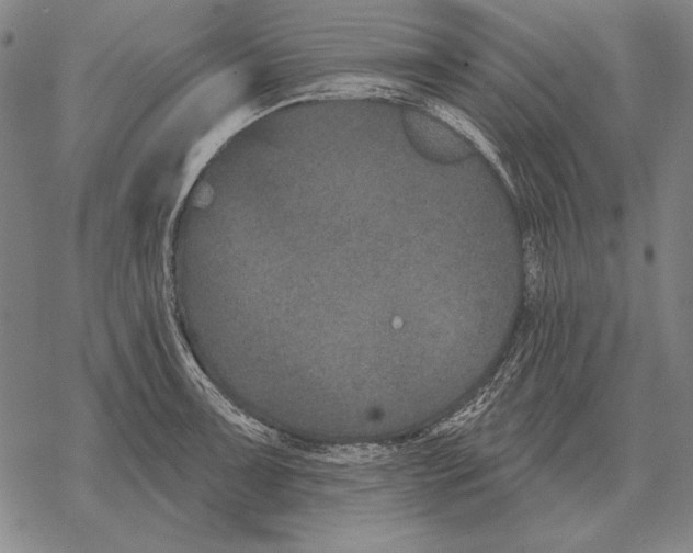 X0000068271091200605191822