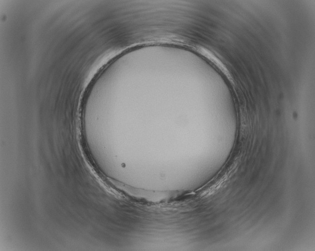 X0000068271093200605191822