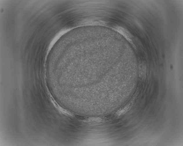 X0000068271094200605191822