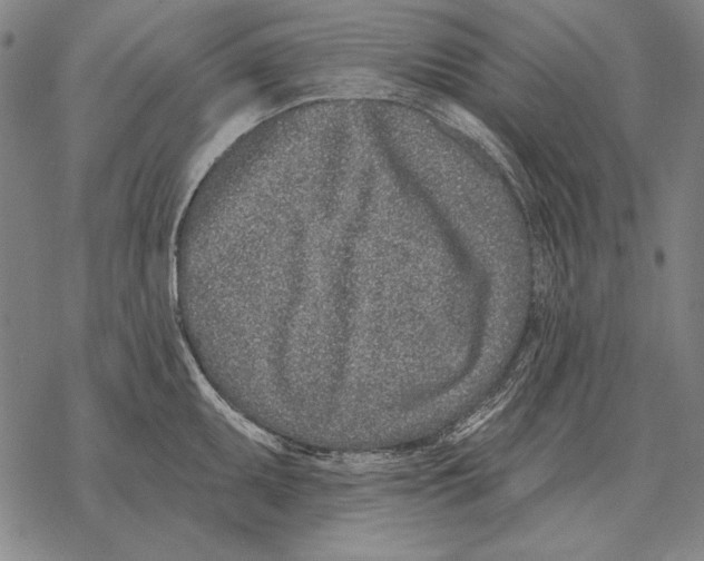 X0000068271095200605191822