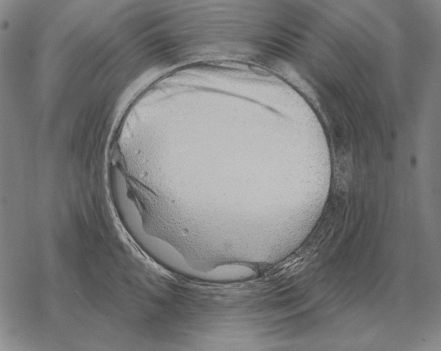 X0000068271096200605191822