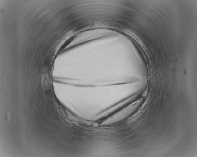 X0000068271097200605191822