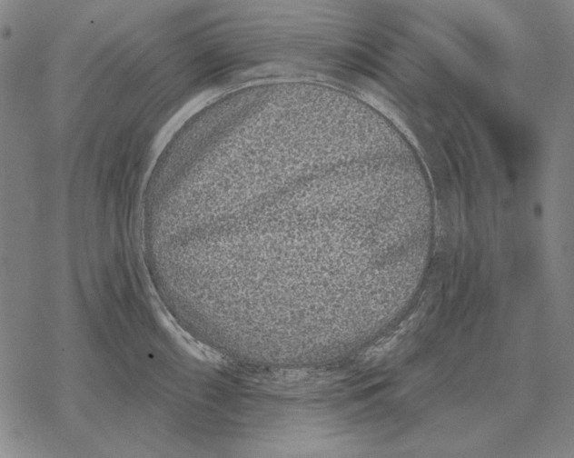 X0000068271098200605191822