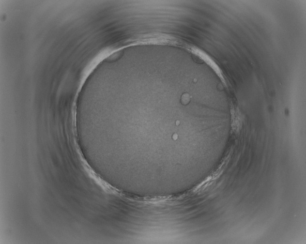 X0000068271099200605191822