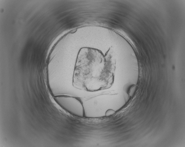 X0000068271100200605191822