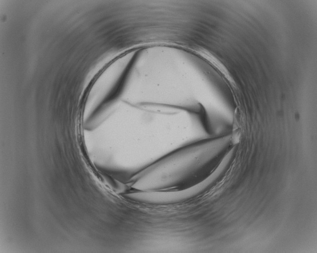 X0000068271101200605191822