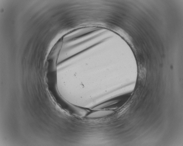 X0000068271102200605191822