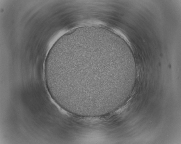 X0000068271103200605191821