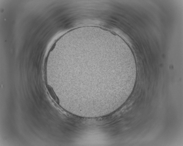 X0000068271104200605191821