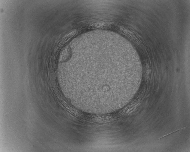 X0000068271105200605191821