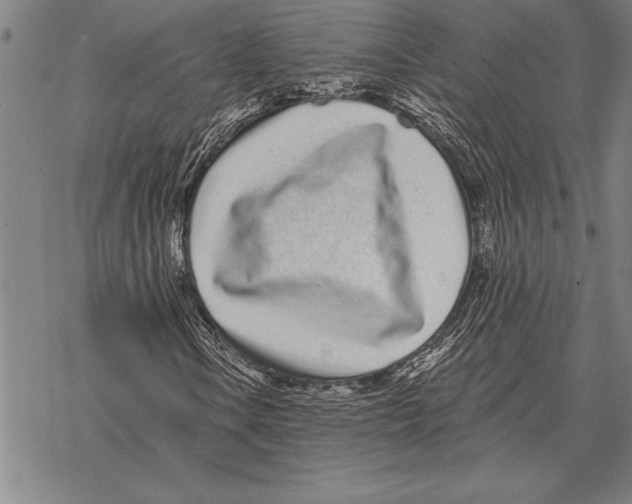 X0000068271106200605191821