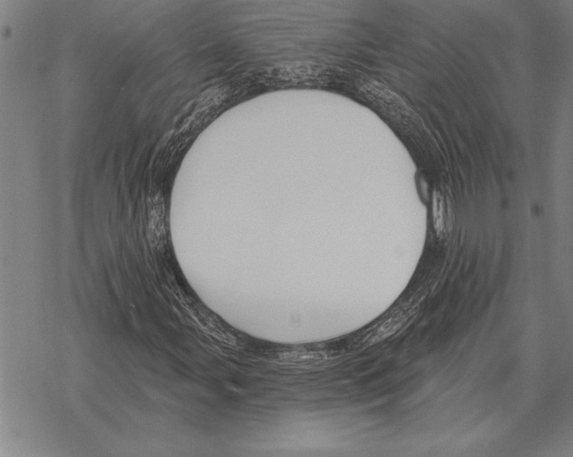 X0000068271107200605191821