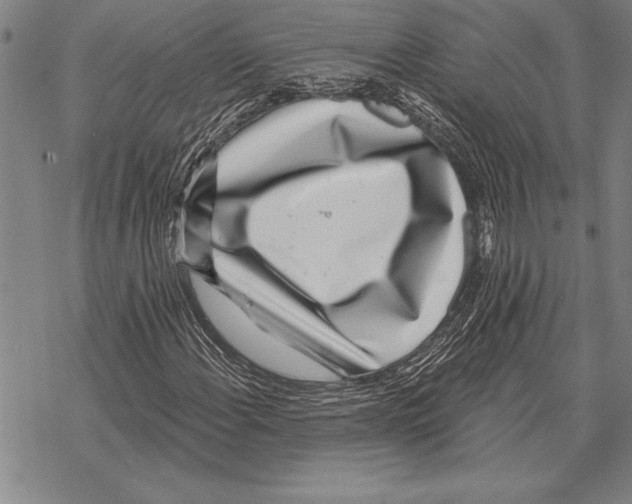 X0000068271108200605191821