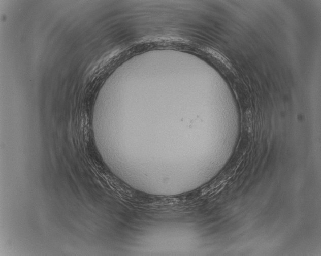 X0000068271111200605191821