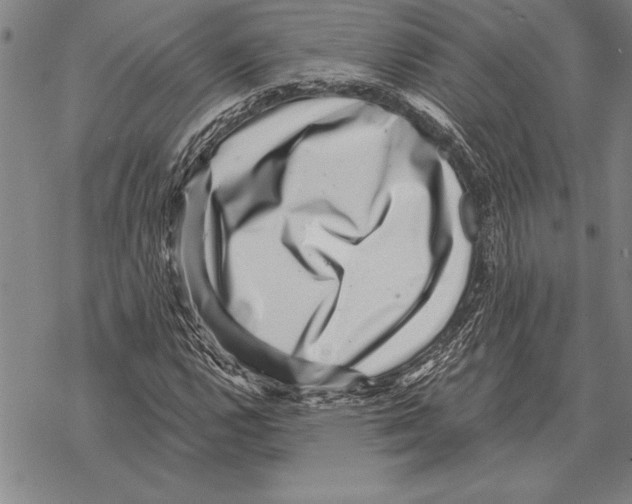 X0000068271112200605191821